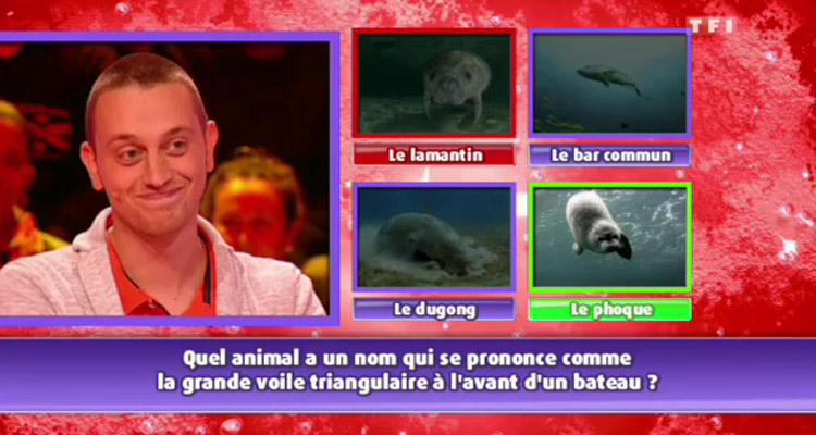 Les 12 coups de midi : Pascal, éliminé par Béatrice ...