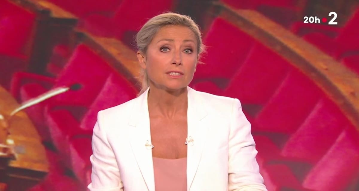 Anne-Sophie Lapix évincée du 20H de France 2 ? “Il est temps de sonner l’alerte générale !”