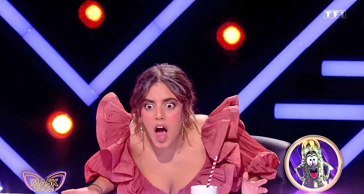 Audiences TV Prime (vendredi 10 mai 2024) : Tropiques criminels leader face à Mask Singer sur TF1, Stéphane Plaza faible sur M6