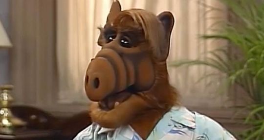 ALF c’est fini ! Mais une série culte de M6 va faire son grand retour