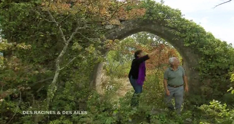 Des racines et des ailes : le Dauphiné offre toujours une belle audience à France 3